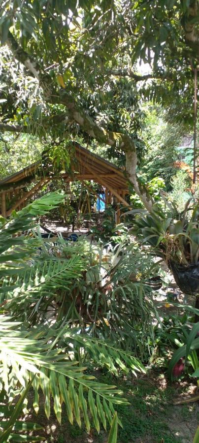 Montecarlos Hotel Ibagué Zewnętrze zdjęcie