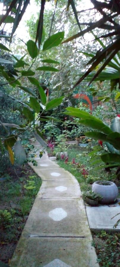 Montecarlos Hotel Ibagué Zewnętrze zdjęcie